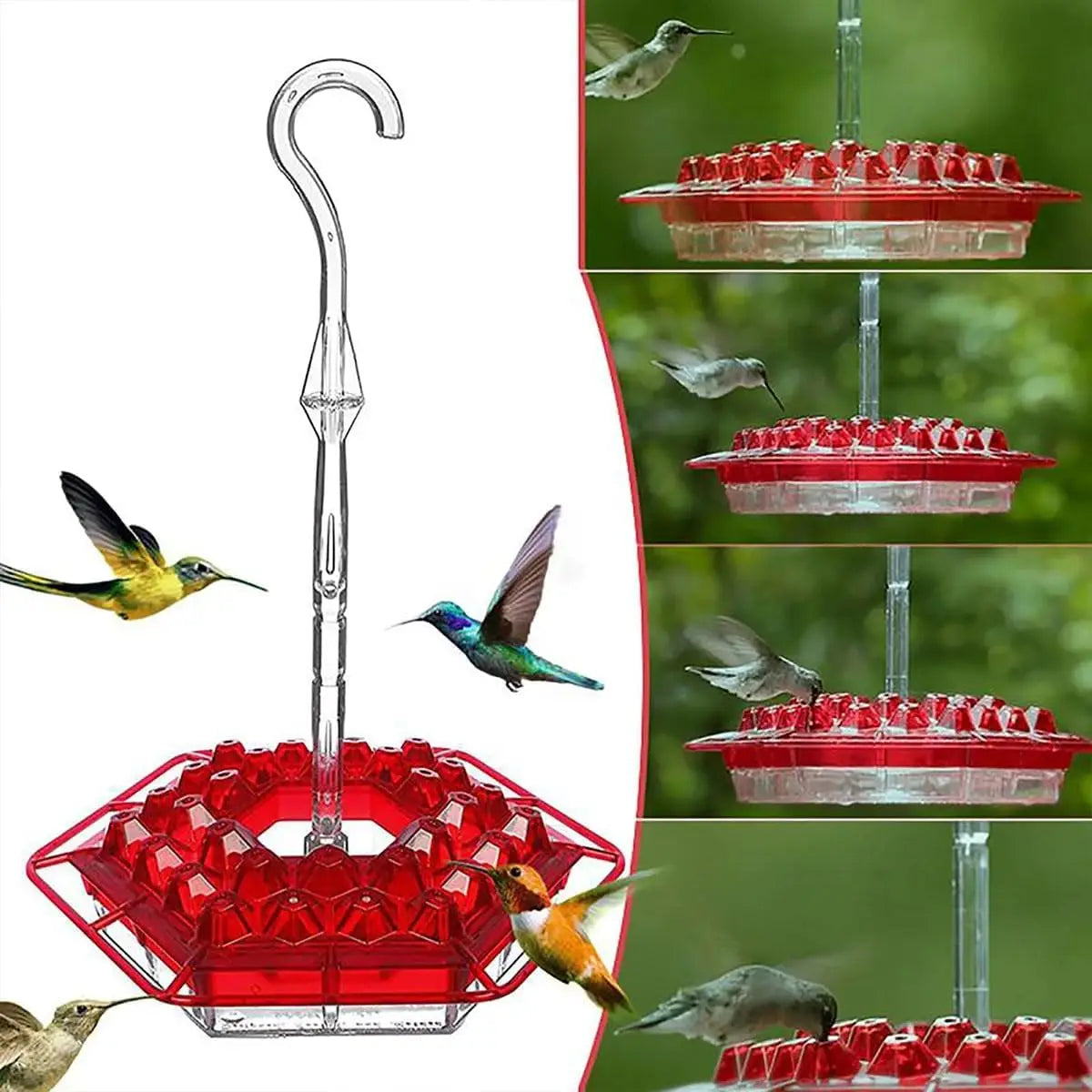 Hummingbird Feeder With Leakproof Moat And 30 Feeding Ports