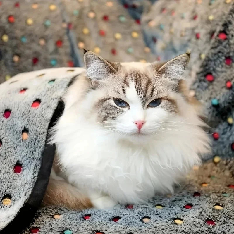 Soft Fluffy Pet Blanket For Cats And Dogs Cozy Warmth
