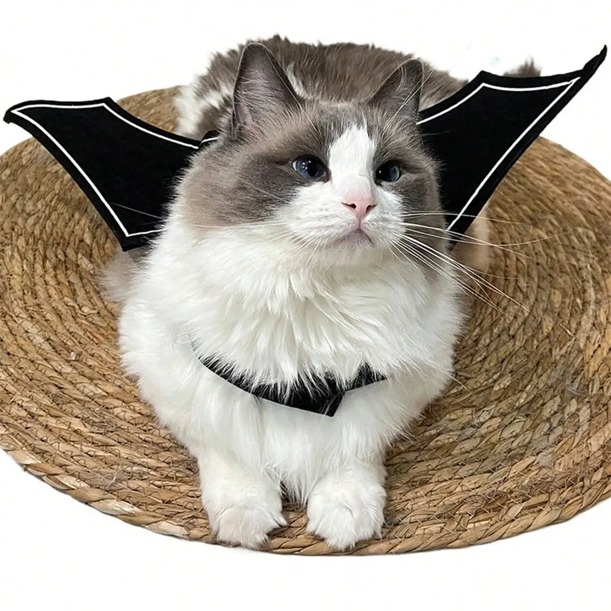 Halloween Bat Wings Pet Costume With Funny Devil Print