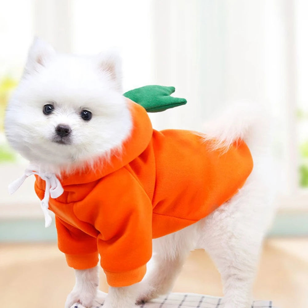 NONECN Cute Fruit Dog Hoodie For Dogs Warm Fleece Cozy