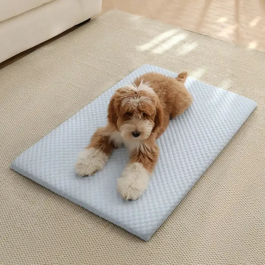 Sponge Cooling Cat And Small Dog Bed With Thick Padding