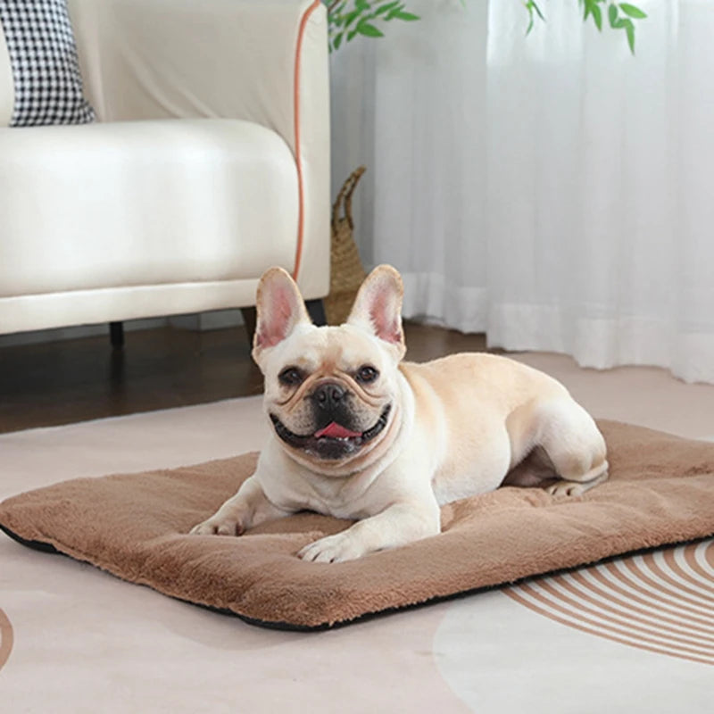 Heated SuperPlush Dog Bed Mat For Cats And Large Dogs