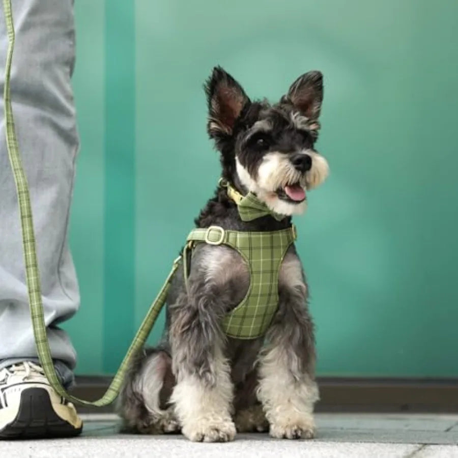 Adjustable Plaid Dog Harness Collar and Leash Set with Bowtie