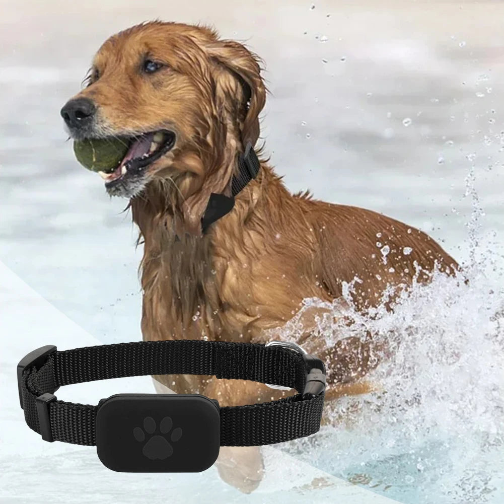 Pet GPS Tracker With Adjustable Collar For Dogs And Cats