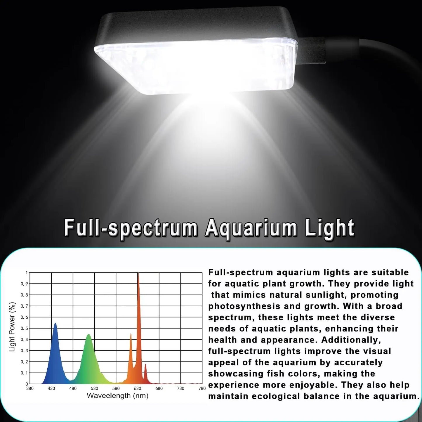 Nano Glass Aquarium With Filter And LED Light For Betta