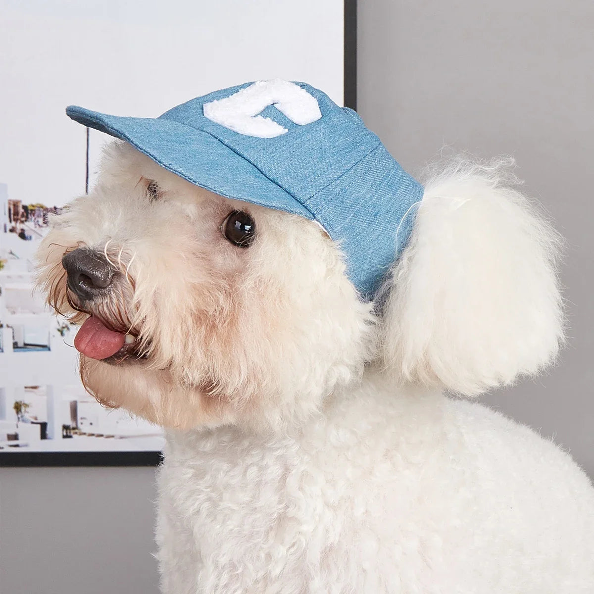 NONECN Dog Sun Hat Adjustable Breathable UV Protection Cap