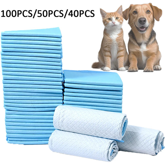 NONEDog Litter Absorbent Dog Diapers Disposable Puppy Training Pads