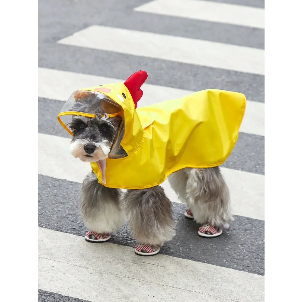 PETSIN Cartoon Bear Hooded Pet Raincoat For Dogs And Cats