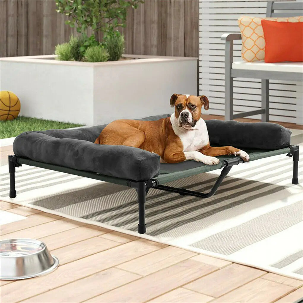 Bingopaw Elevated Indoor Outdoor Pet Lounger Bed With Bolster