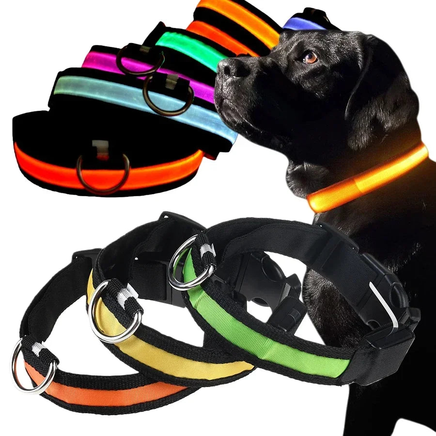 NONECN Glowing Nylon LED Dog Collar For Night Safety