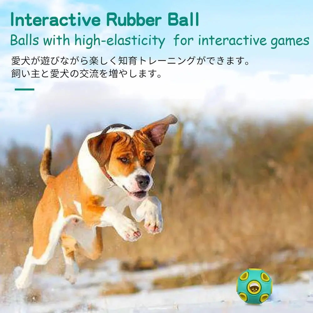 Premium Bouncy Rubber Ball With Internal Jingle Sound For Dogs