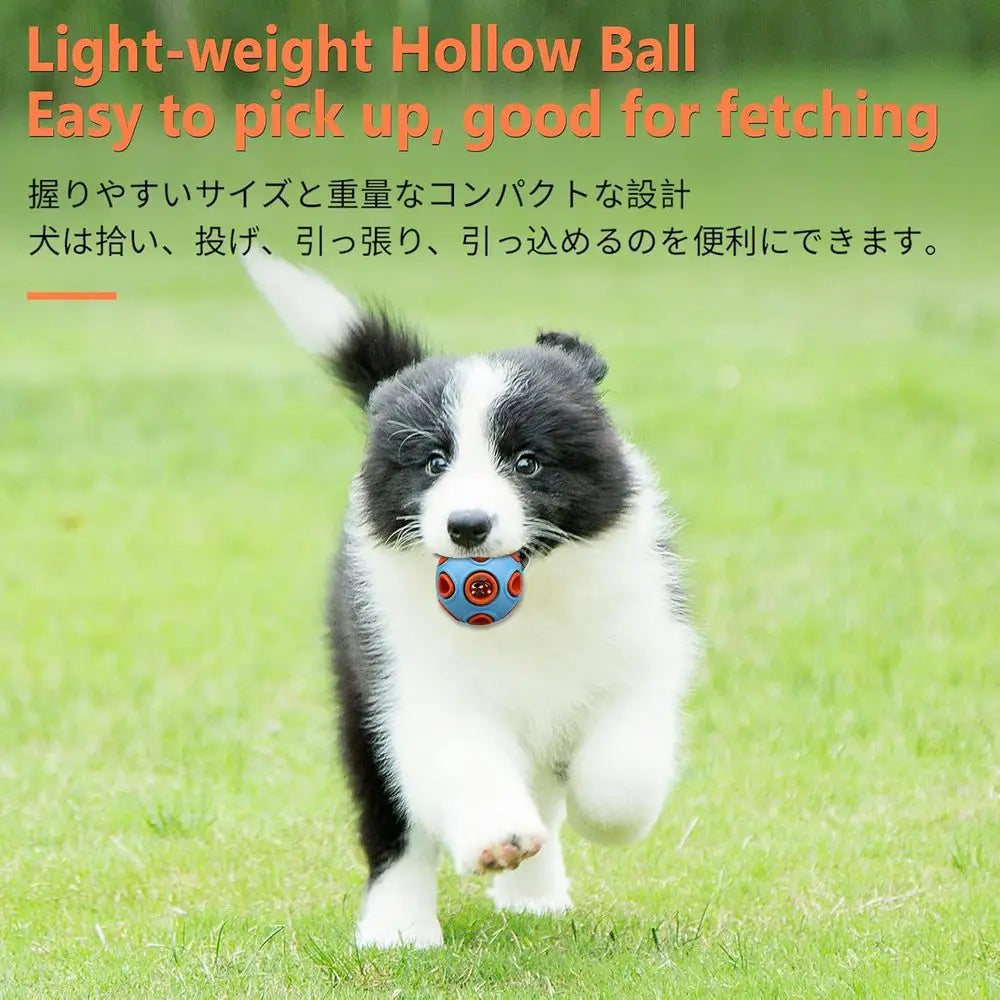 Premium Bouncy Rubber Ball With Internal Jingle Sound For Dogs