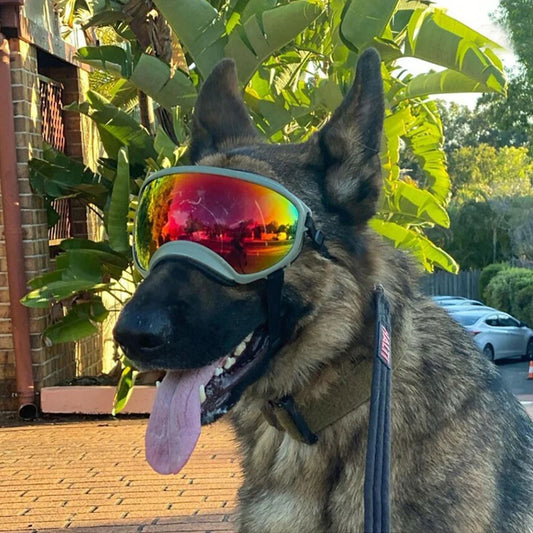 PETRAVEL Dog Goggles Anti UV Sun Glasses for Travel Protection