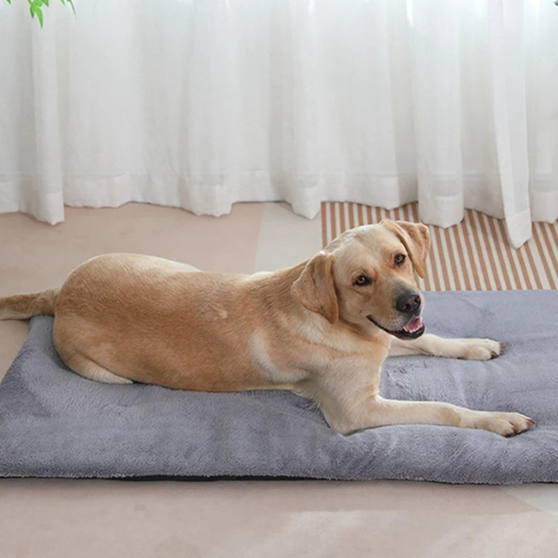 Heated SuperPlush Dog Bed Mat For Cats And Large Dogs