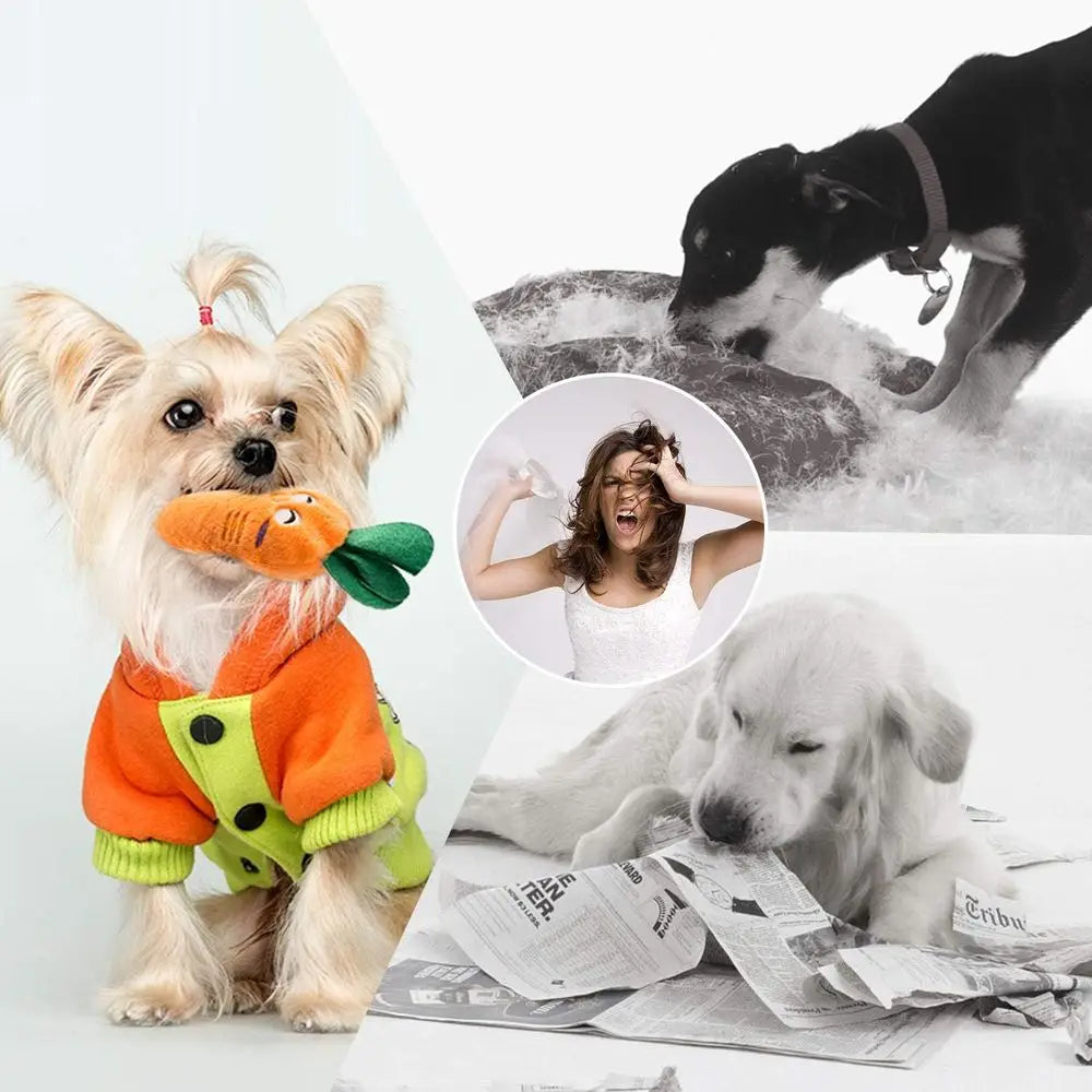 Squeaky Plush Dog Toys 12 Pack With Carrying Bag for All Breeds