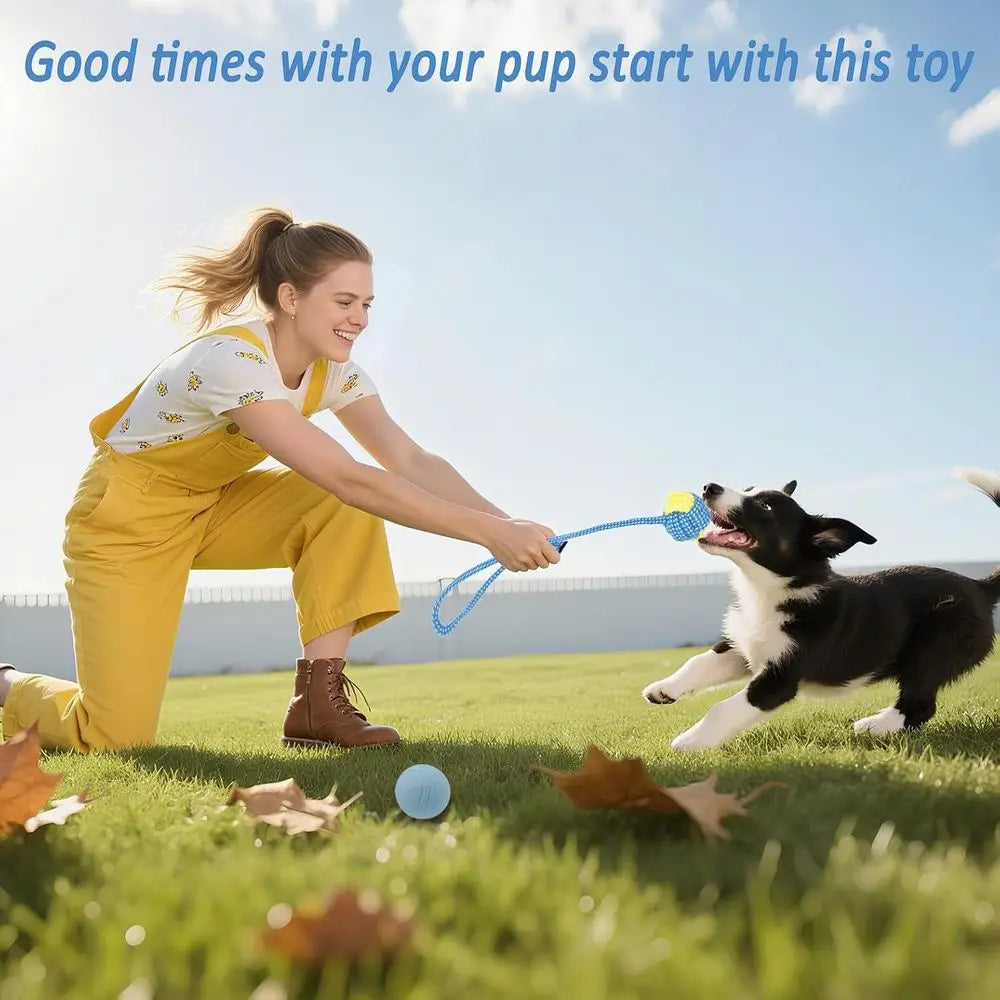 Puppy Chew Toys 20 Pack Teething Rings Ropes Rubber Bundle For Small Dogs