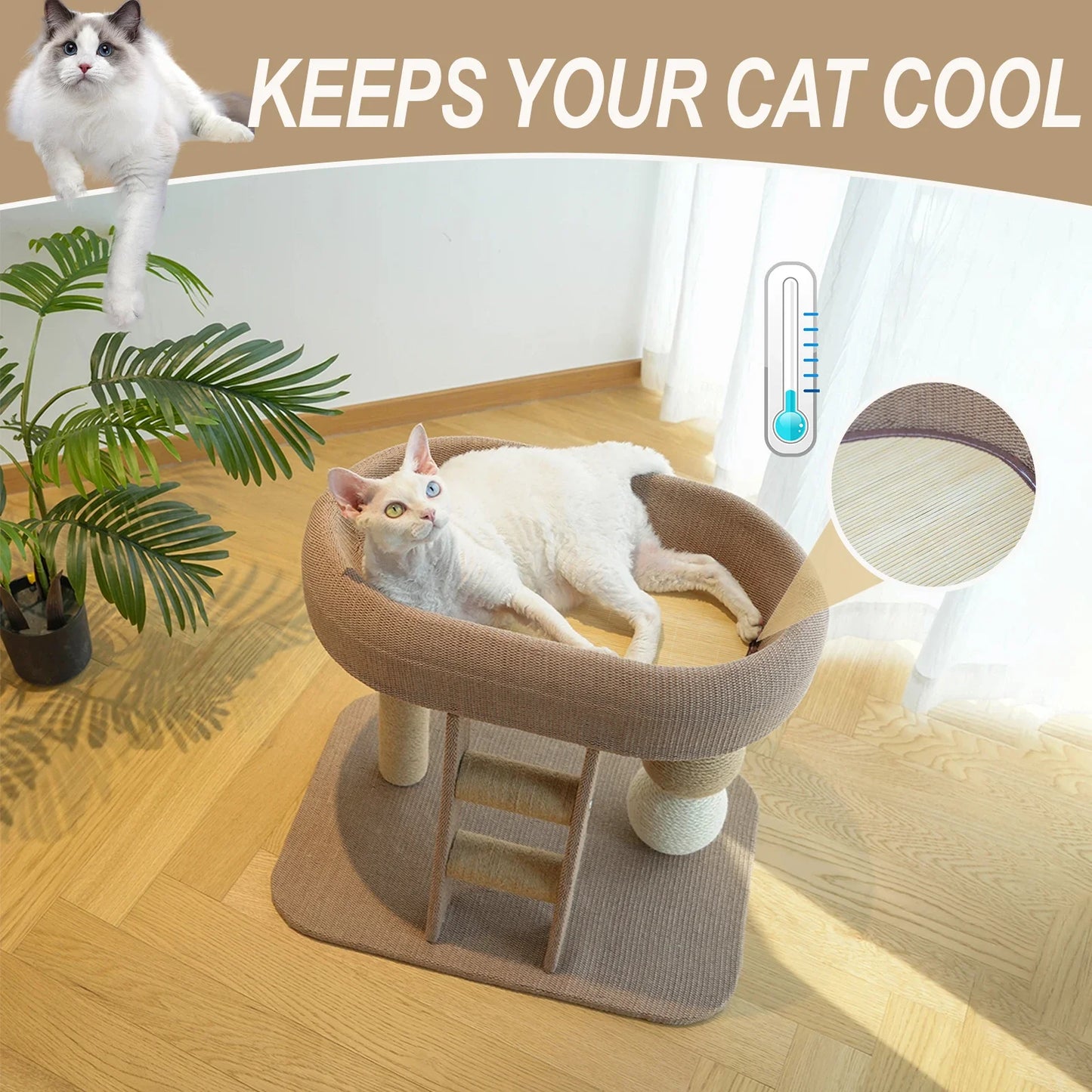 Cat Scratching Post With Sisal Board Plush Bed Ladder