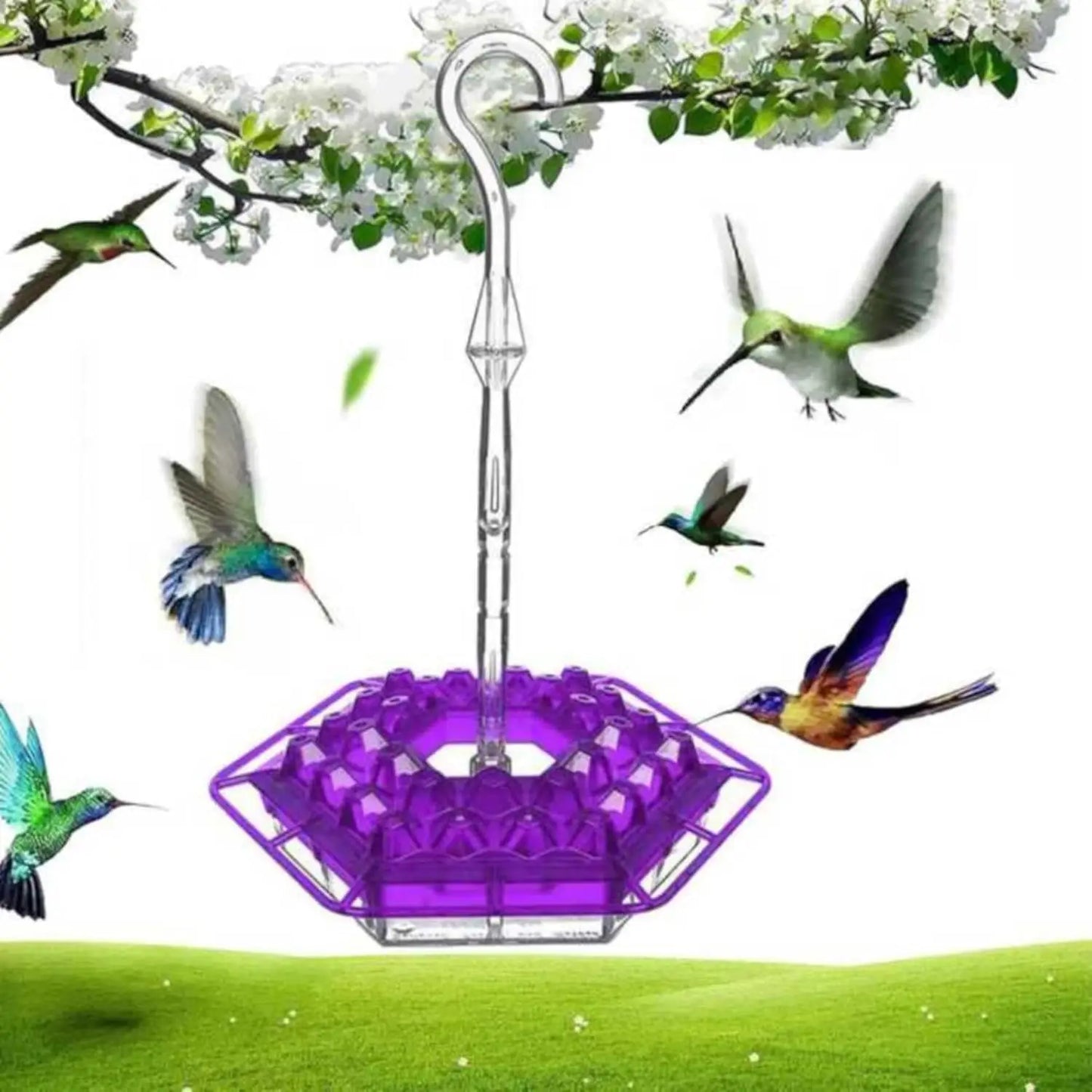 Hummingbird Feeder With Leakproof Moat And 30 Feeding Ports