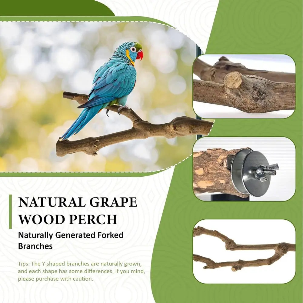 Natural Wooden Bird Perches For Small Birds Parakeets Cockatiels Conures