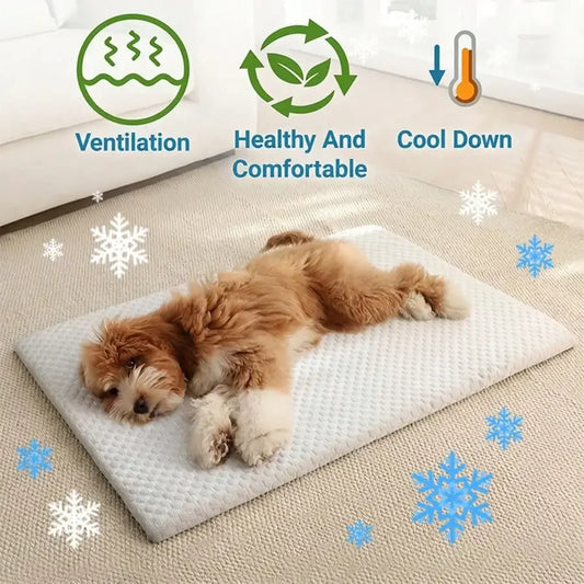 Sponge Cooling Cat And Small Dog Bed With Thick Padding