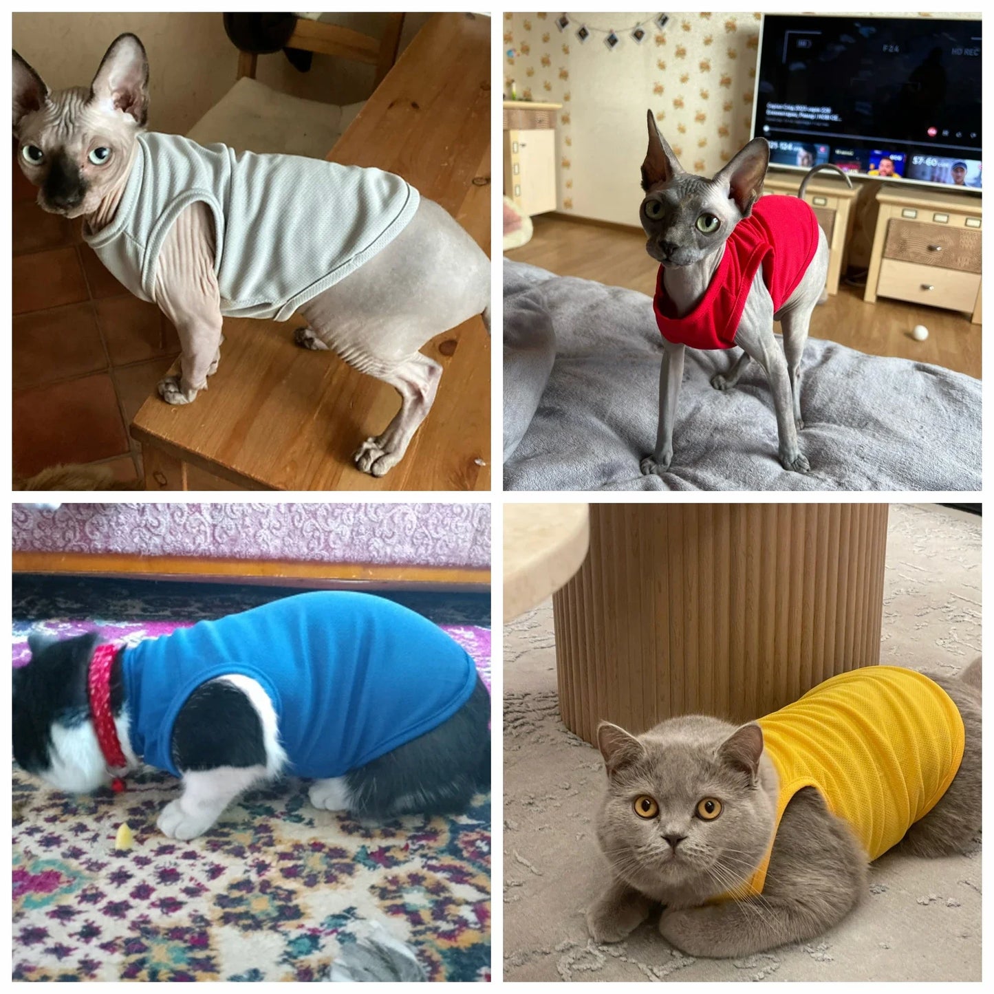 Summer Breathable Dog Vest T Shirt for Small Dogs Cats