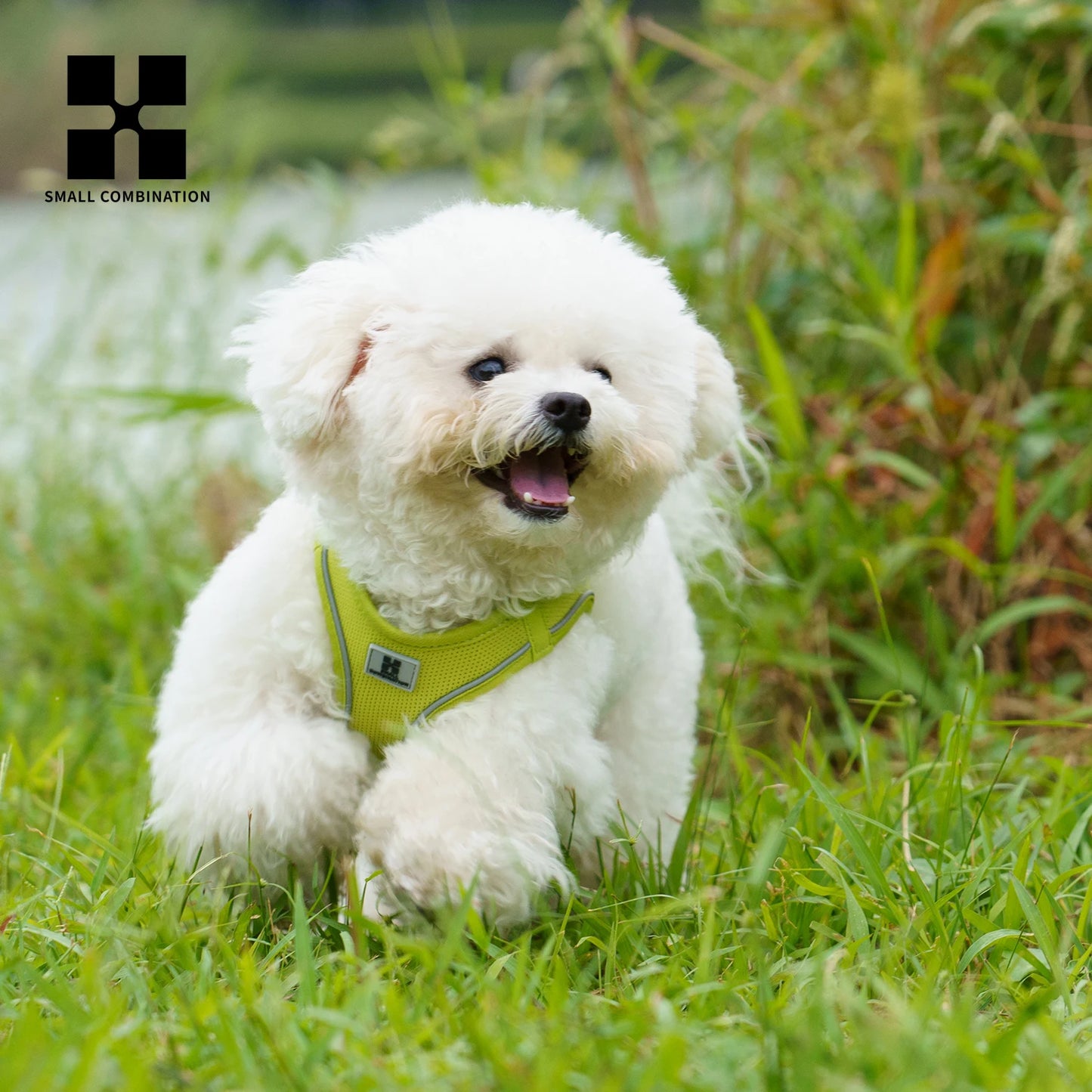 Reflective Nylon Dog Harness Leash Set For Outdoor Walking