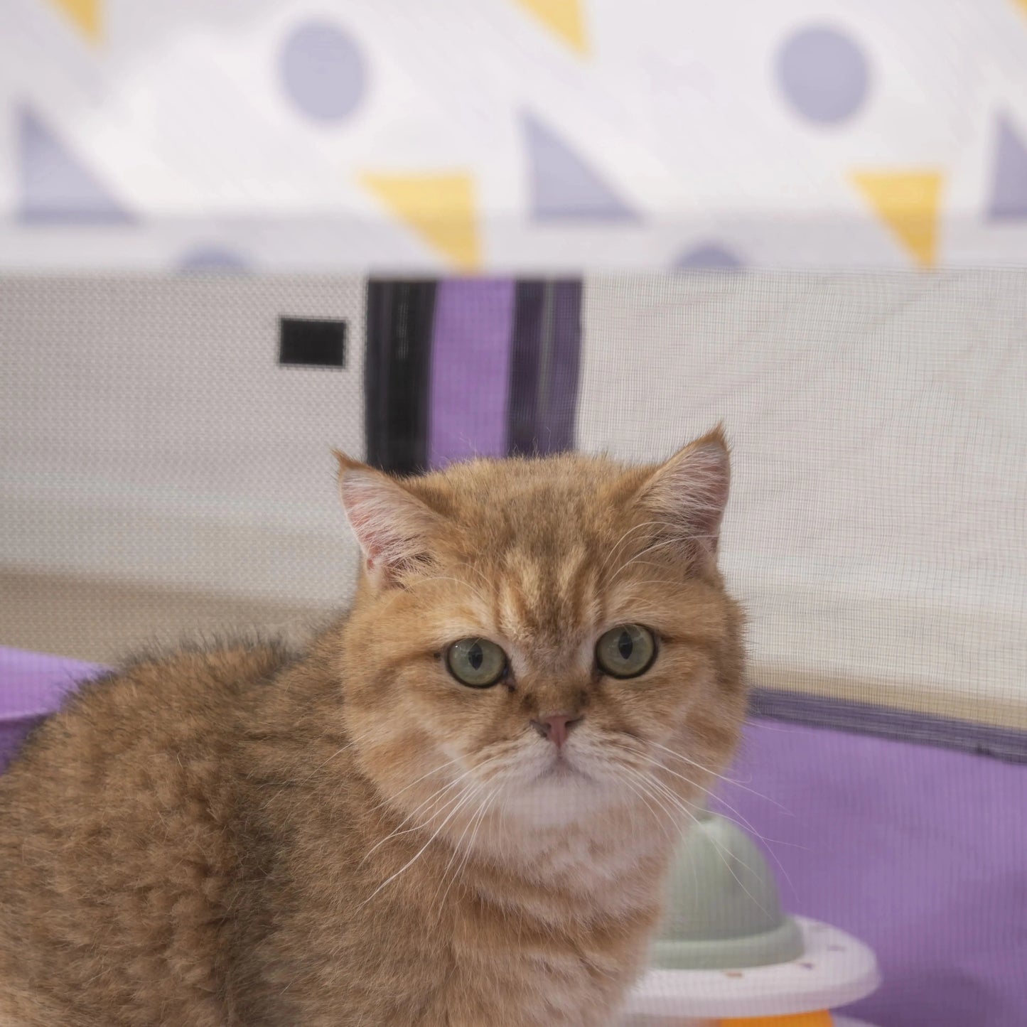 NONECN Foldable Mesh Ventilated Cat Nest For Indoor Outdoor