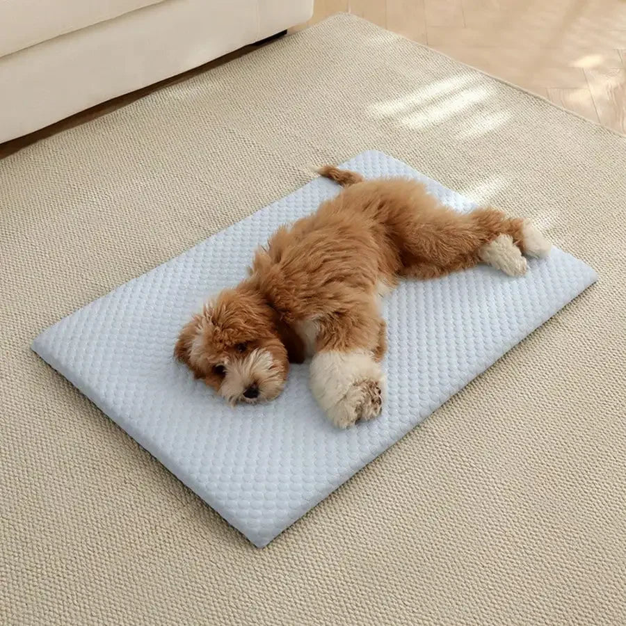 Sponge Cooling Cat And Small Dog Bed With Thick Padding
