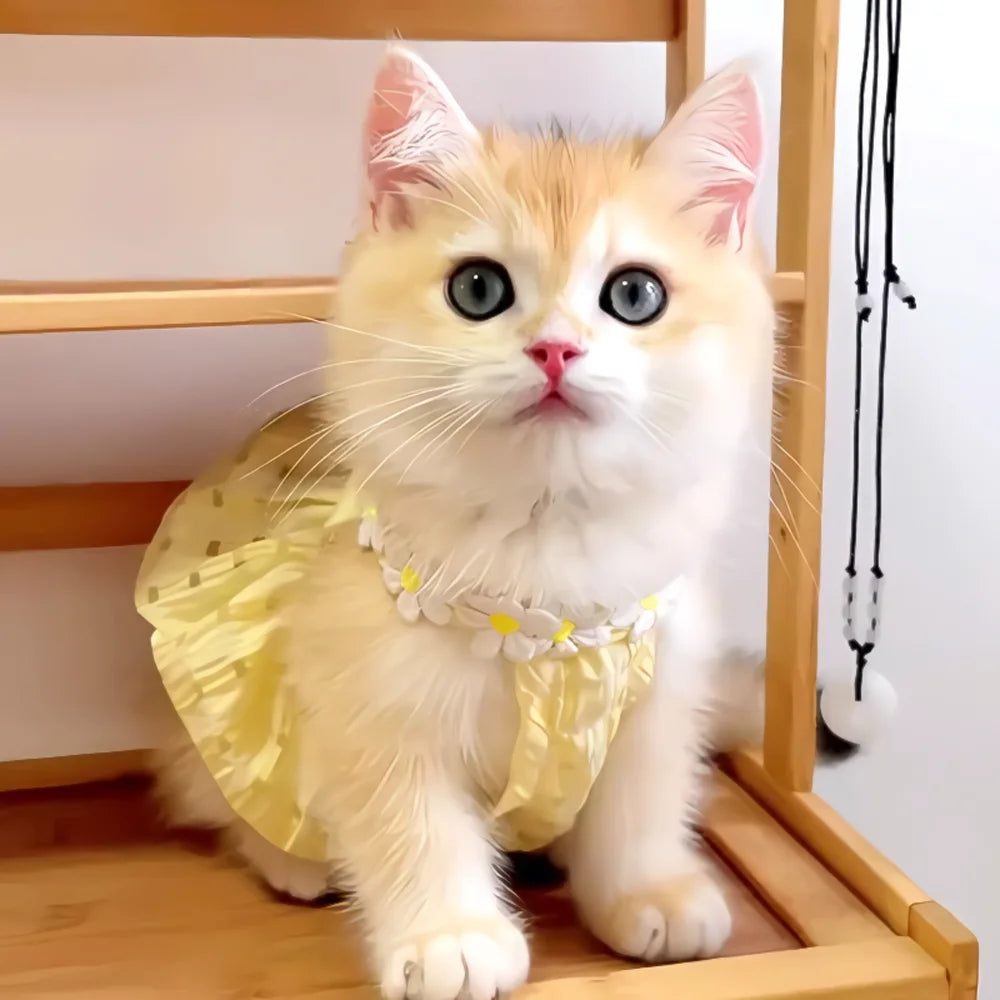 Chic Cat Dress Summer Princess Style For Pets Everywhere