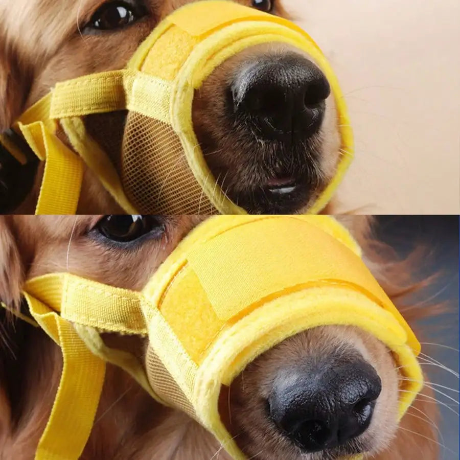 Adjustable Dog Muzzle For Training Anti Bite Breathable Mesh Design