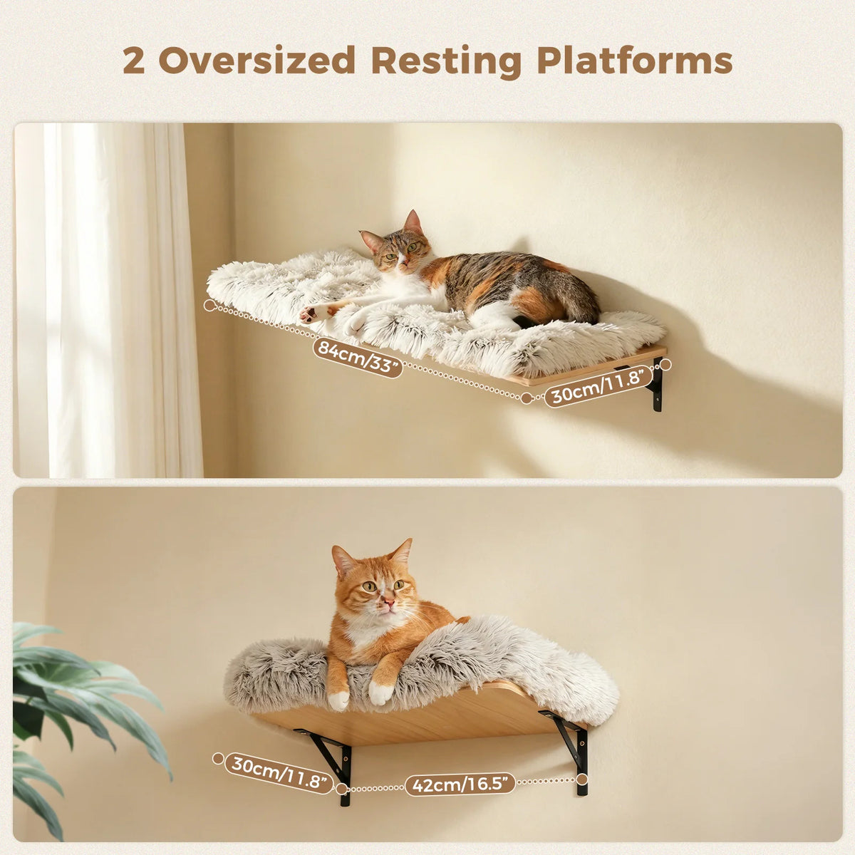 PAWZ Road Wooden Cat Climbing Wall Shelves With Scratching Posts