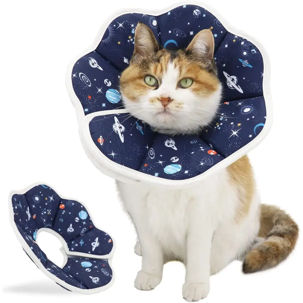 Elizabethan Cat Recovery Collar After Surgery Prevents Licking