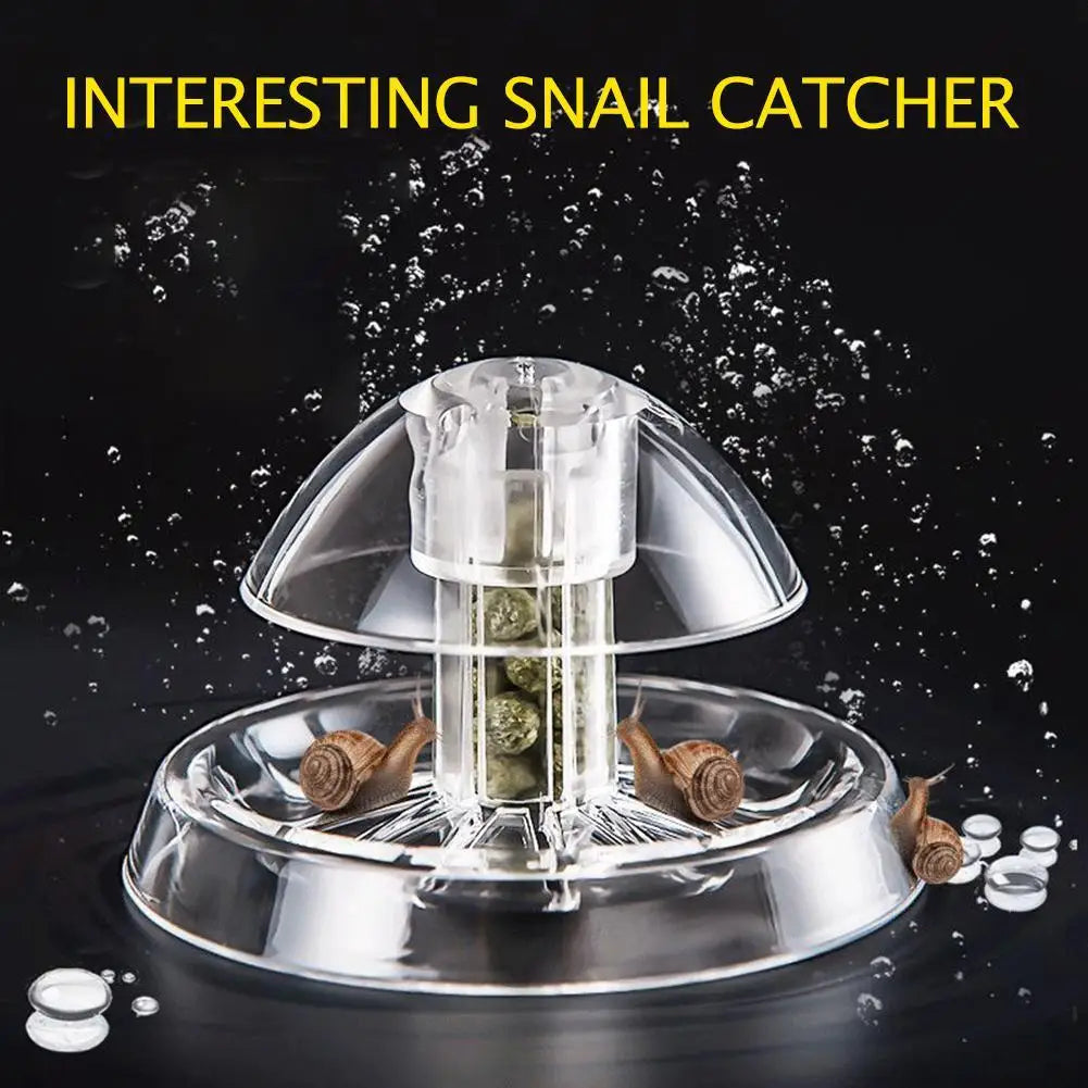 Clear Snail Trap for Aquarium Fish Tank Snail Catcher Tool