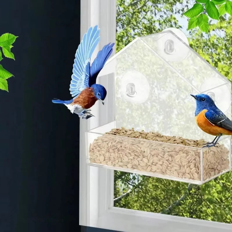 Acrylic Window Bird Feeder With Suction Cup For Backyard