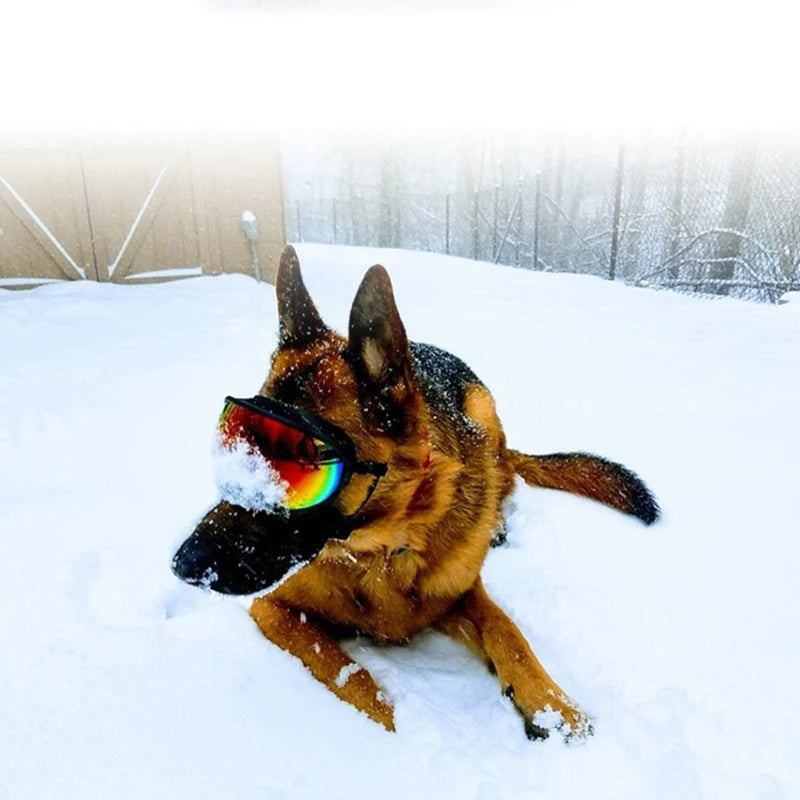 PETRAVEL Dog Goggles Anti UV Sun Glasses for Travel Protection