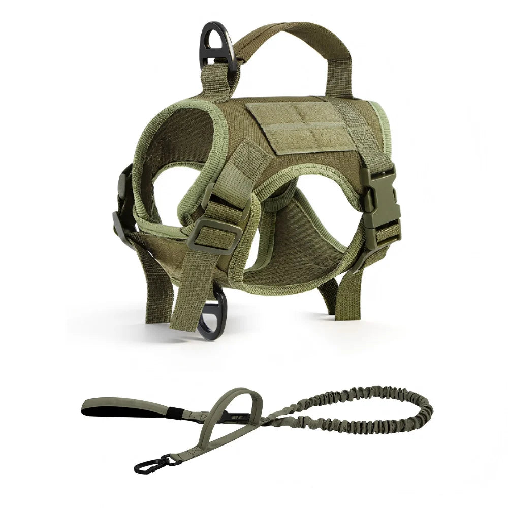 Petravel Adjustable Tactical Cat Harness And Leash Set
