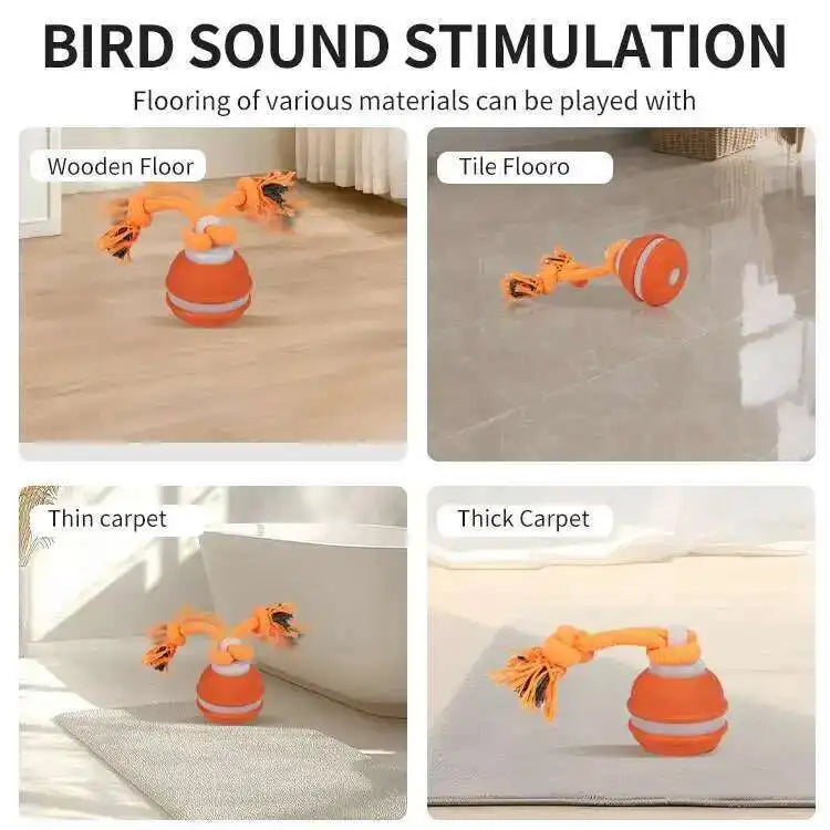 LISM Motion Activated Teasing Dog Ball Toy With Squeaky Rope