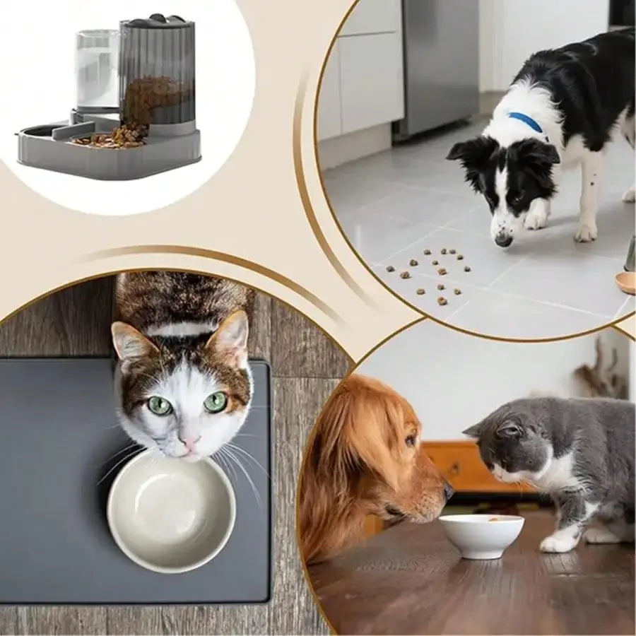 2in1 Automatic Dog Bowl Cat Feeder With 2500ml Capacity