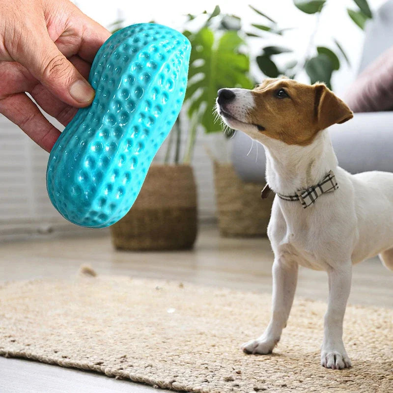 Dog Peanut Toy Squeaky Chew For Teeth Cleaning Interactive