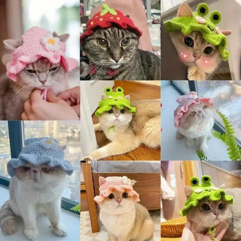 Kittens Knitted Cat Hat Elastic Winter Pet Accessory