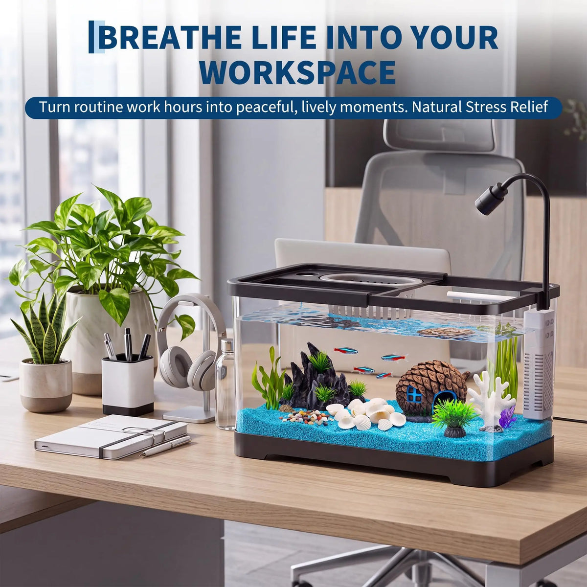 Complete Fish Tank Starter Kit With Filter And Light For Aquatic Pets