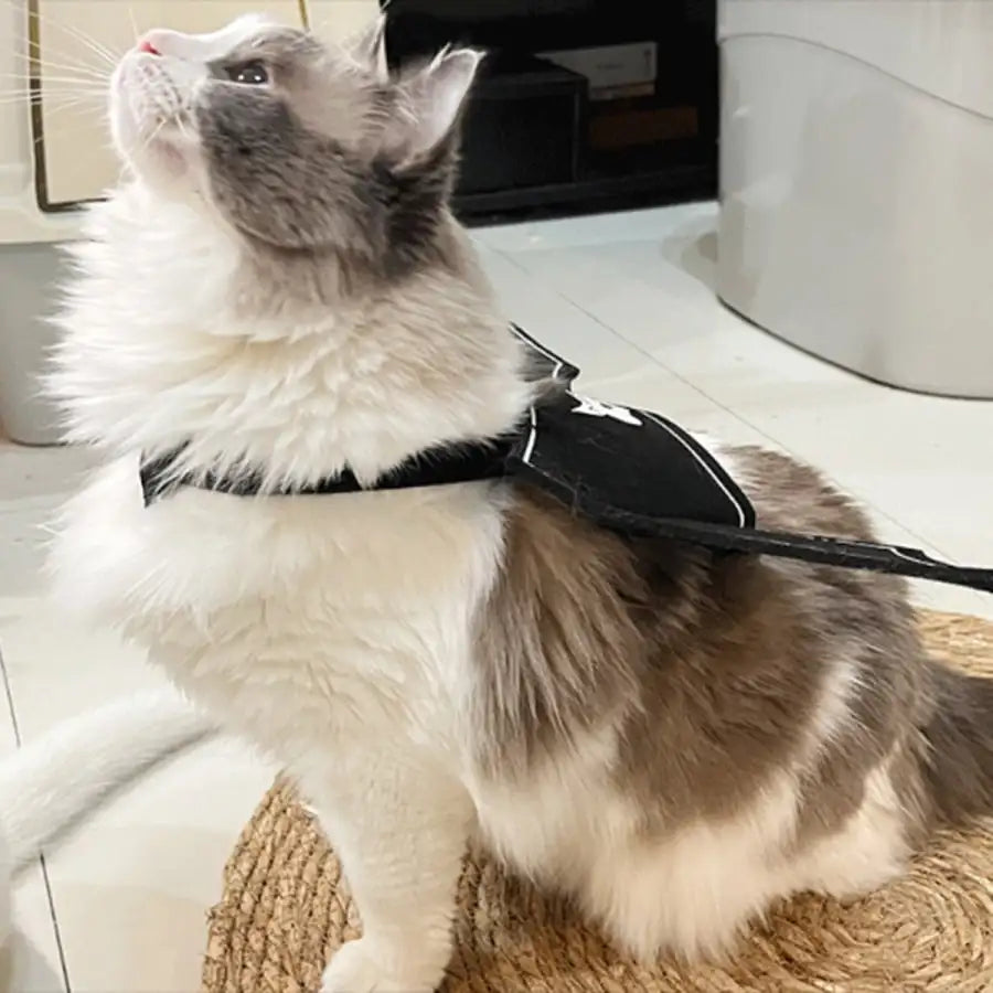 Halloween Bat Wings Pet Costume With Funny Devil Print