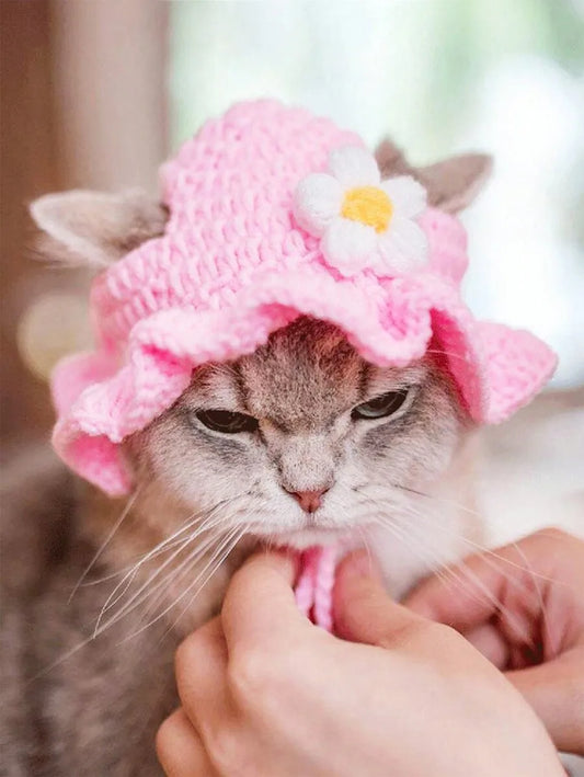Floral Trim Wool Knitted Hat For Cats And Companion Dogs