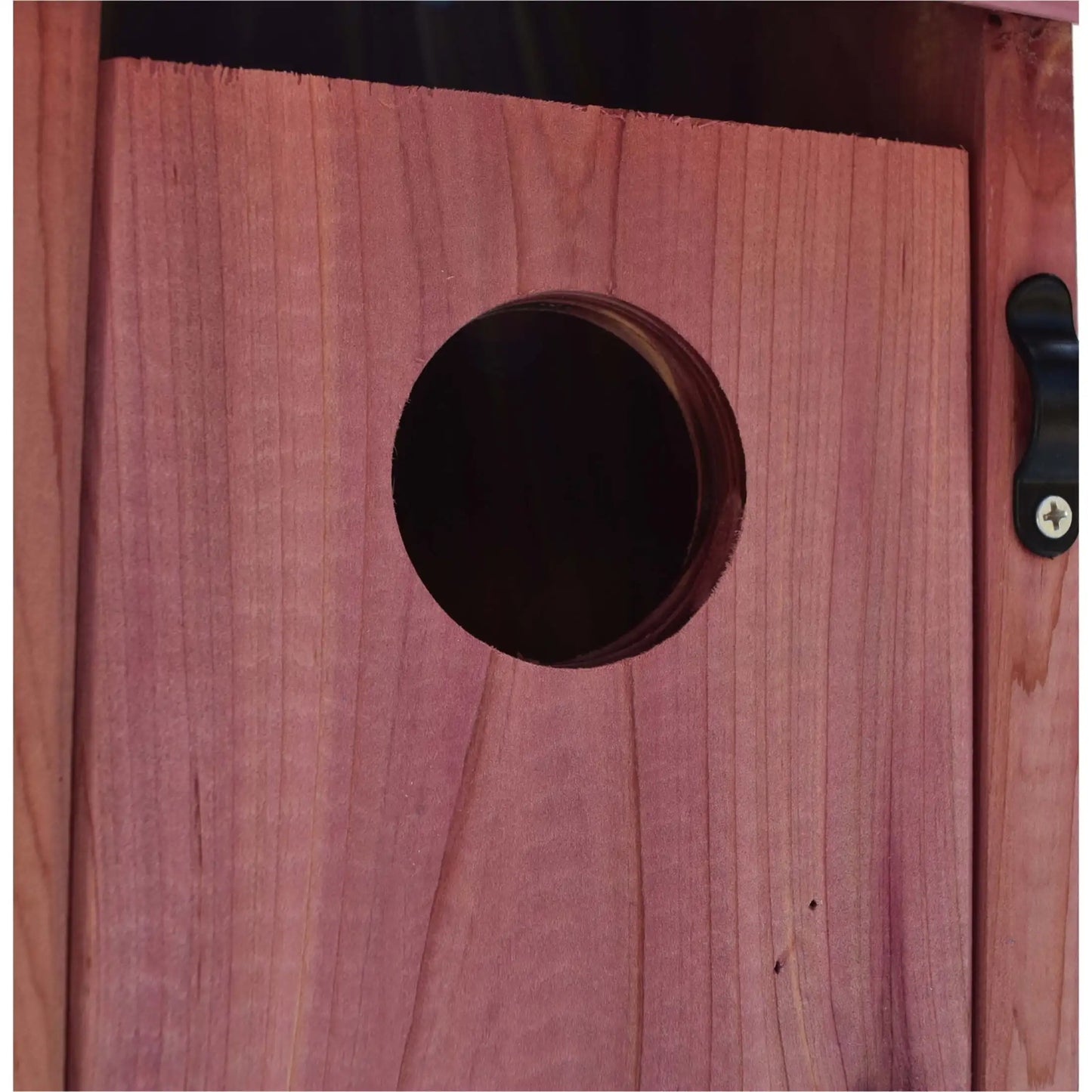 None Cedar Bluebird House Natural Habitat Garden Birds Outdoor