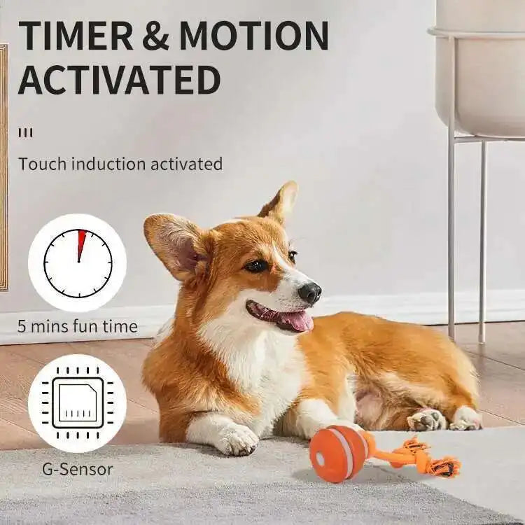 LISM Motion Activated Teasing Dog Ball Toy With Squeaky Rope
