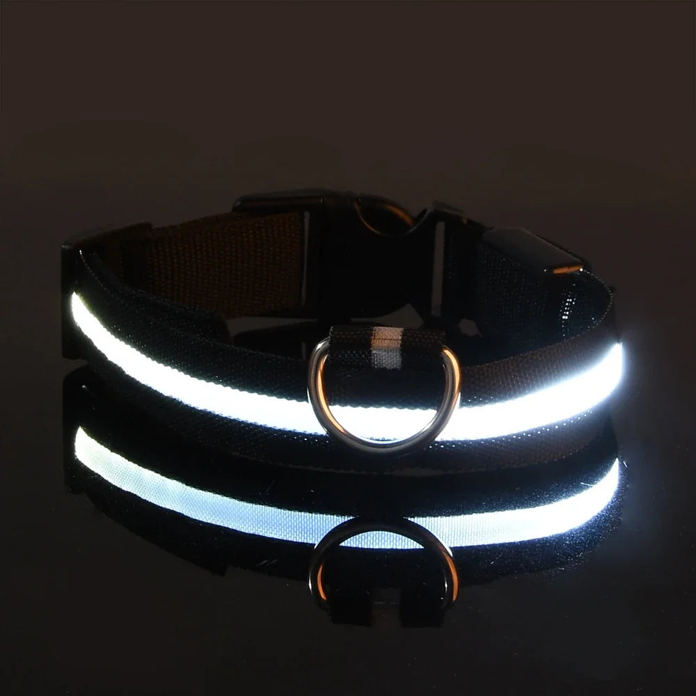 Nylon LED Night Safety Dog Leash with Glow In Dark