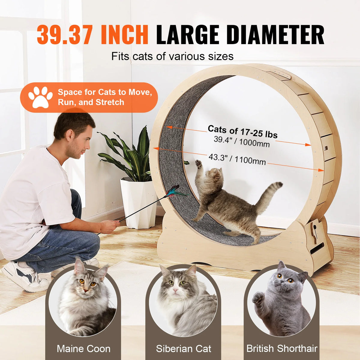 Wooden Cat Exercise Wheel With Detachable Carpet And Teaser