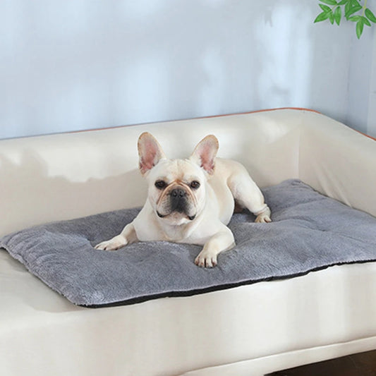 Heated SuperPlush Dog Bed Mat For Cats And Large Dogs