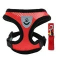 YTYINCN Dog Harness Vest With Leash Adjustable Polyester Mesh