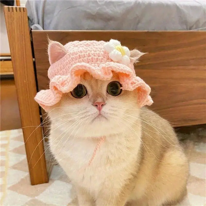 Kittens Knitted Cat Hat Elastic Winter Pet Accessory